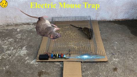 electric box mouse trap|electric mouse trap homemade.